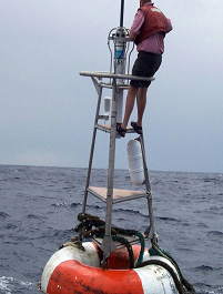 Figure 9  A TAO buoy was used as a FAD (possibly a sling shot method).