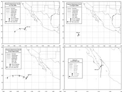 Figure 2. Tracks of 2004 Eastern
North Pacific tropical depressions - Click to Enlarge