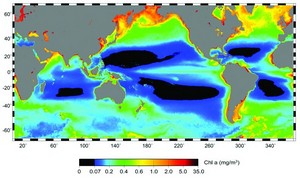 Black areas in the Atlantic and Pacific Oceans