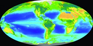 Dark blue areas in this figure of the global distribution 
of chlorophyll